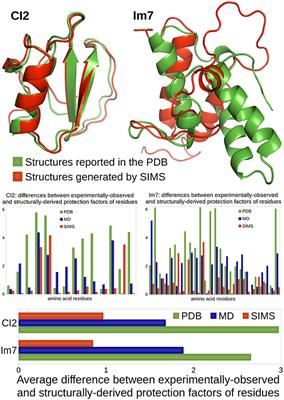 Coarse-Grained Conformational Sampling of Protein Structure Improves the Fit to Experimental Hydrogen-Exchange Data